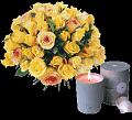 fleurs et nature (170)